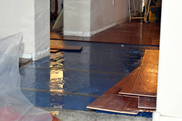 Professional Water Damage Restoration technician working in Dighton, MA